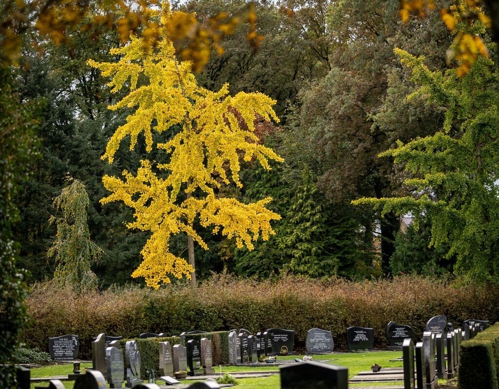 AHA Fotografie Nunspeet Kreijkes Uitvaartverzorging Rijssen 39 large